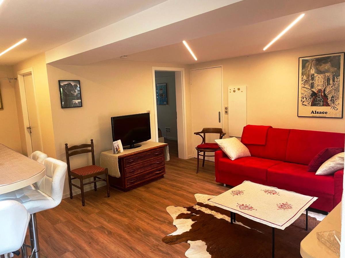 Appart Prive Dans Villa Meinau Residentiel Strasbourg Exteriör bild